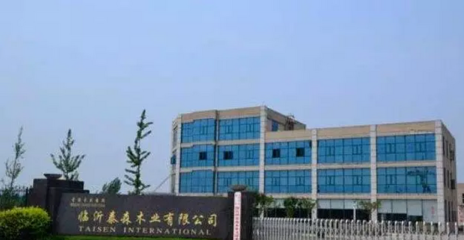 定制家居行业大咖齐聚临沂 胶合板如何成为产业风向标？
